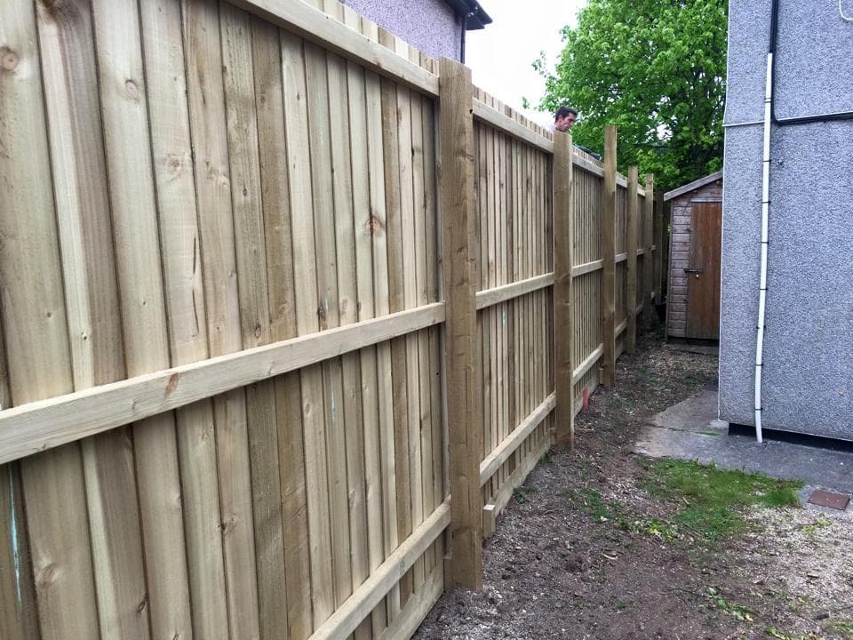 Garden fencing project, photo 2