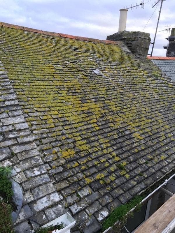 Roof restoration, photo 2
